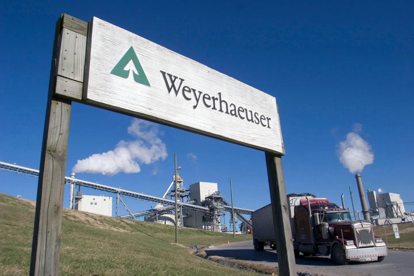سهم شركة Weyerhaeuser